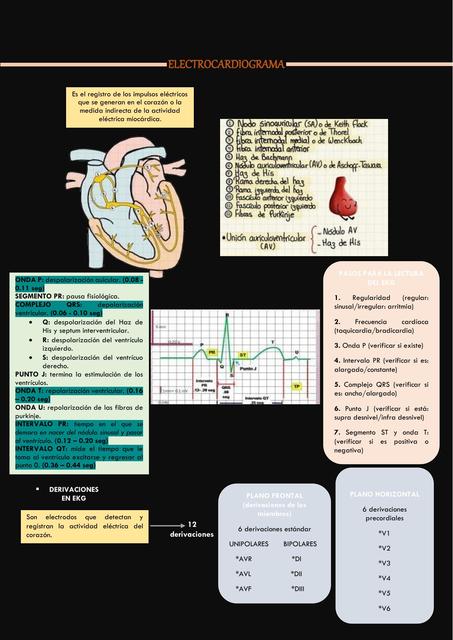 Electrocardiograma