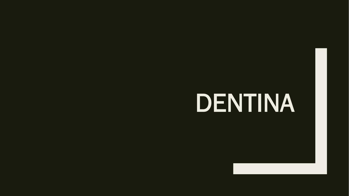 Dentina