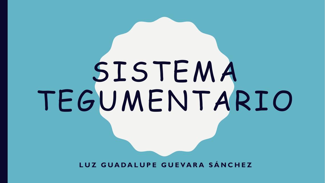 Sistema Tegumentario