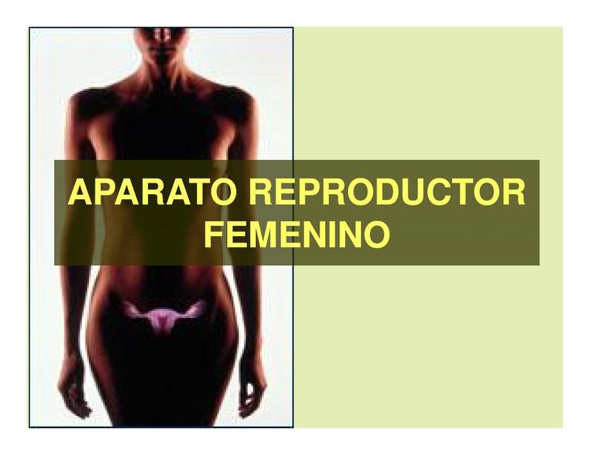 Aparato Reproductor Femenino