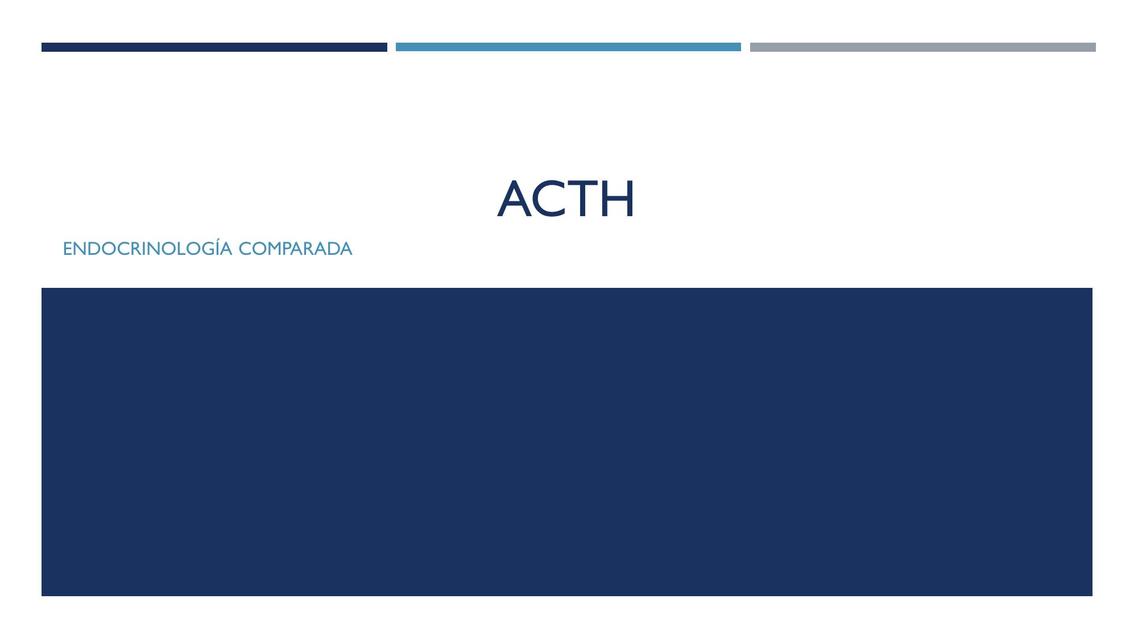 ACTH Endocrinología Comparada