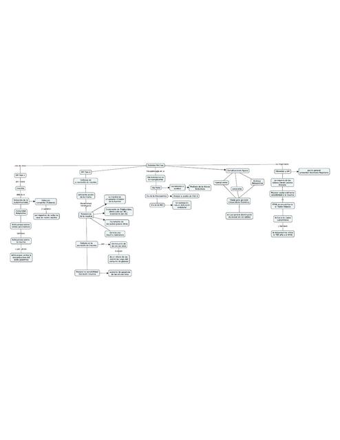 Esquema Diabetes Mellitus