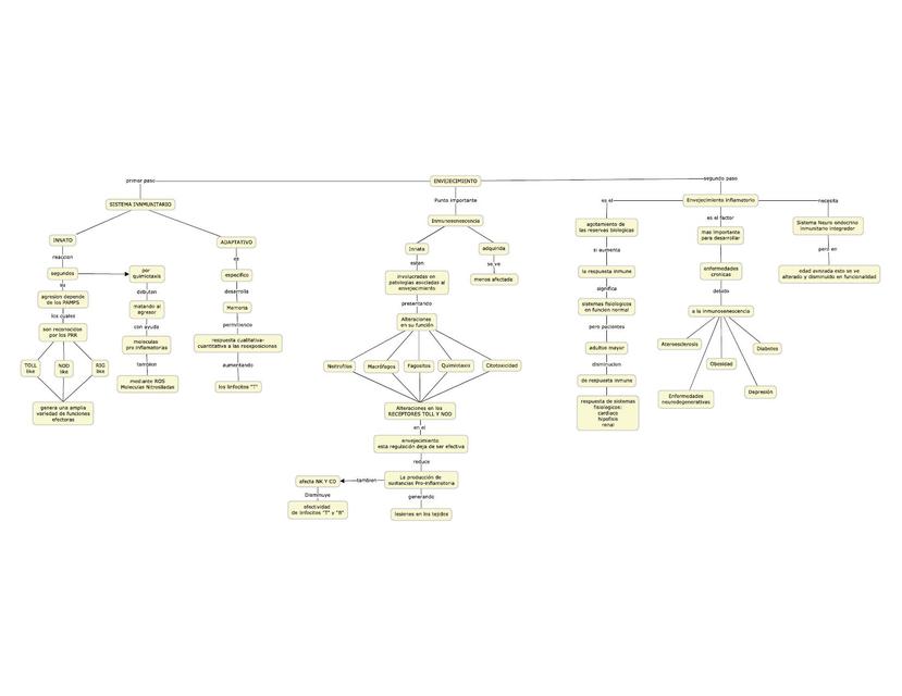 Esquema envejecimiento