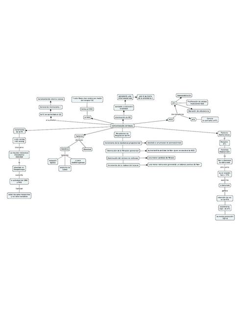 Hipertensión Arterial 