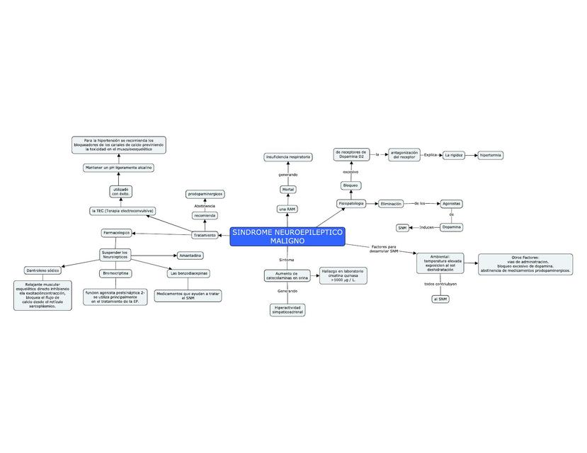 Sistema Neuroepileptico Malgino