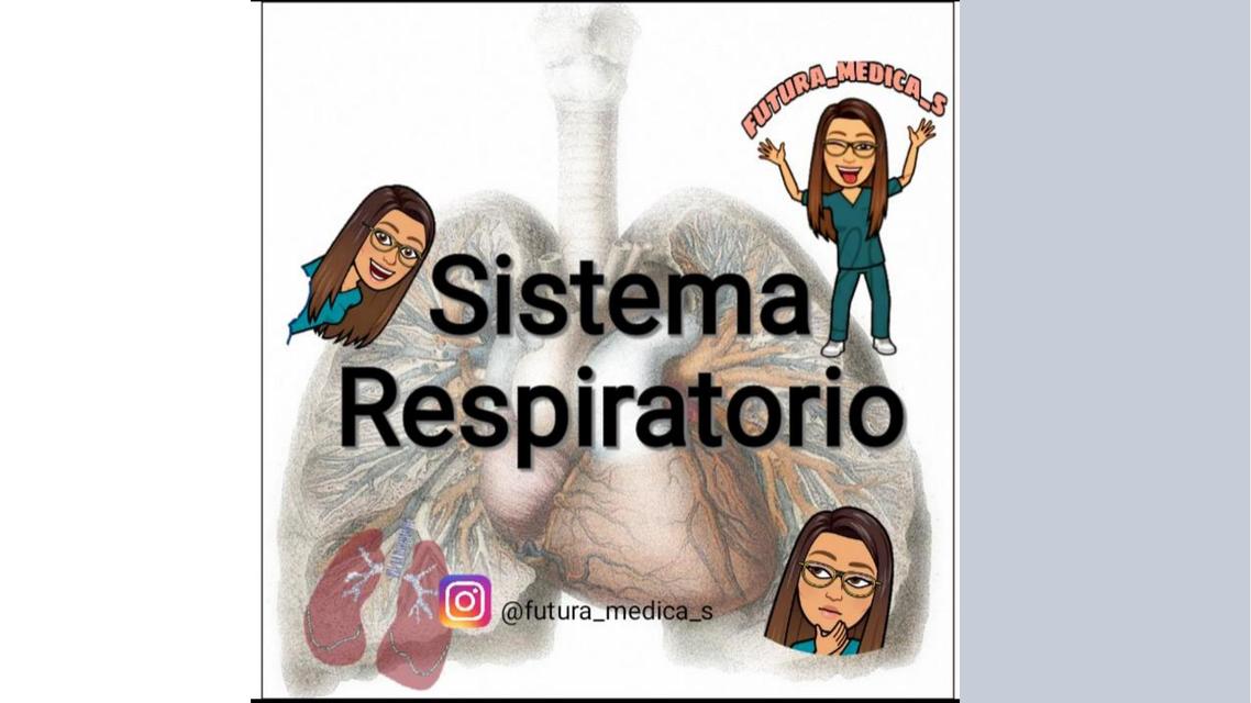 Sistema Respiratorio