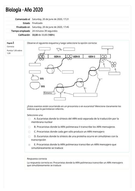 Autoevaluación de Mecanismos Genéticos