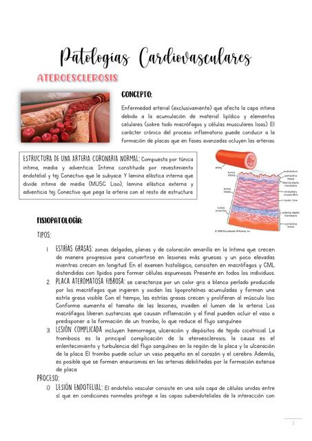 Patologías Cardiovasculares