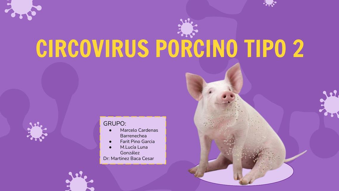 Circovirus Porcino Tipo 2