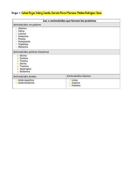 Los 20 Aminoácidos que Forman las Proteínas 
