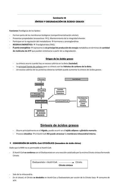 Síntesis y degradación de ácidos grasos