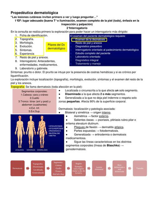 Propedéutica dermatológica