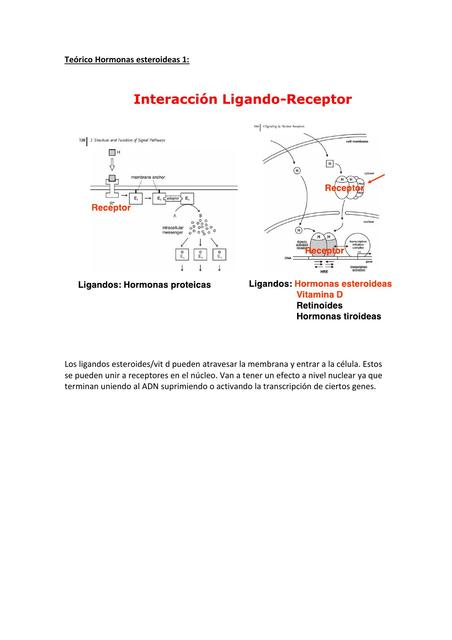 Secretos para ciclo esteroides anabólicos: incluso en esta economía en crisis