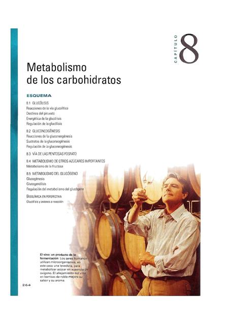 Metabolismo de los Carbohidratos