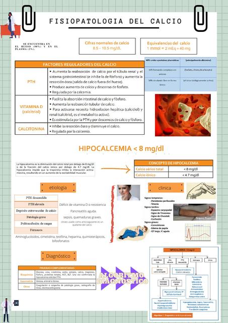 Fisiopatología del Calcio 