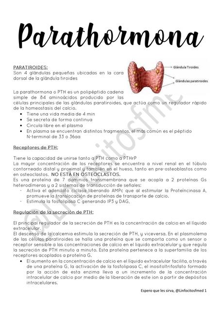 Resumen de la paratohormona calcitonina y vitamina D