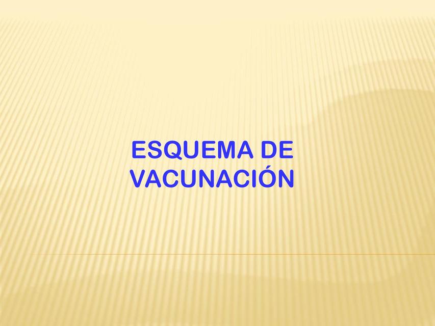 Esquema de Vacunación