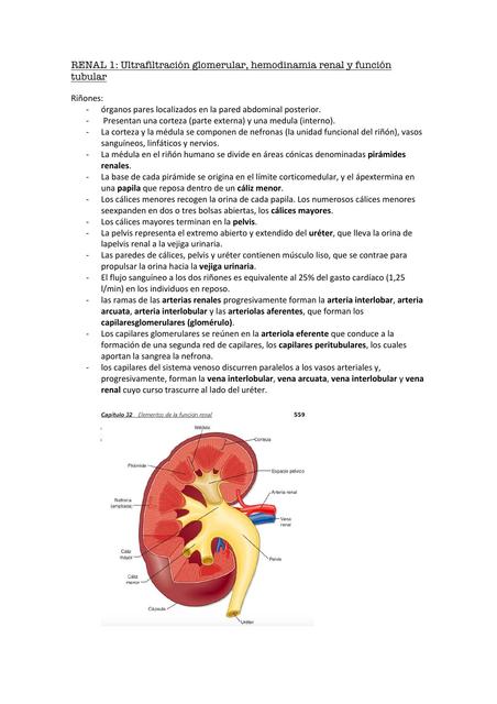 Ultrafiltración Glomerular, Hemodinamia Renal y Función Tubular