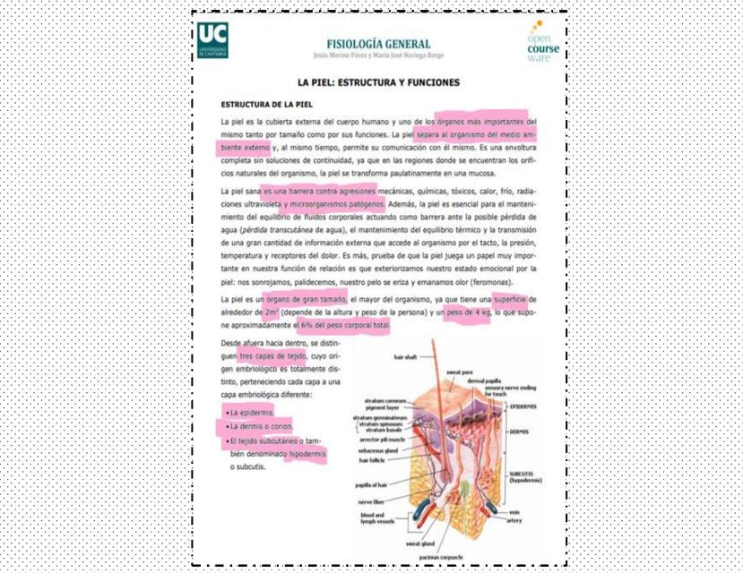 La Piel: Estructura y Funciones 