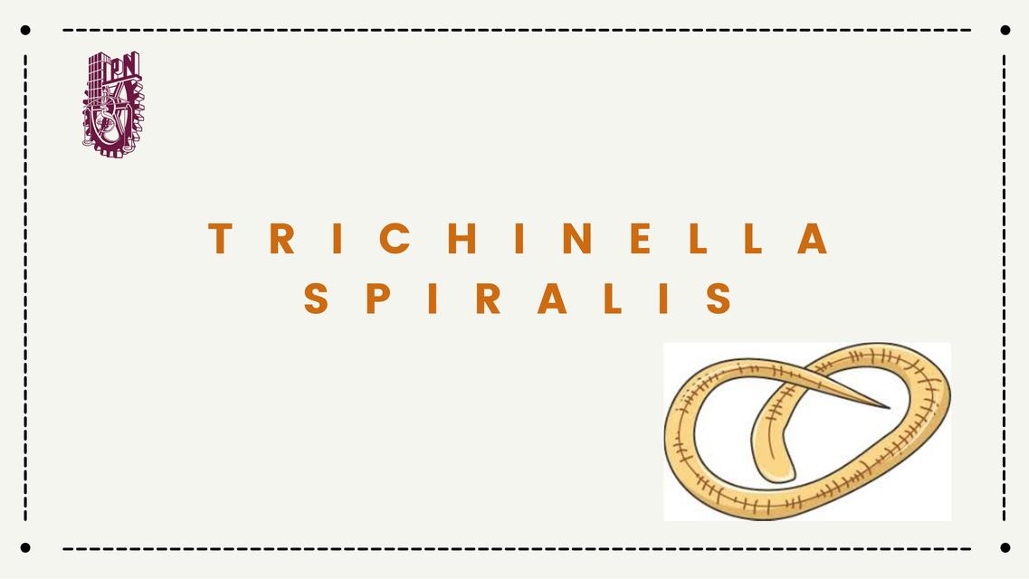 Trichinella Spiralis