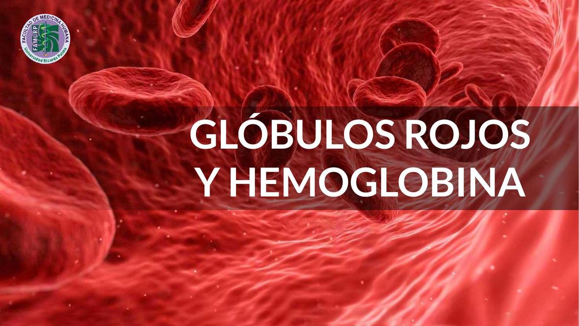 Glóbulos Rojos Y Hemoglobina Alessandra Argote Udocz