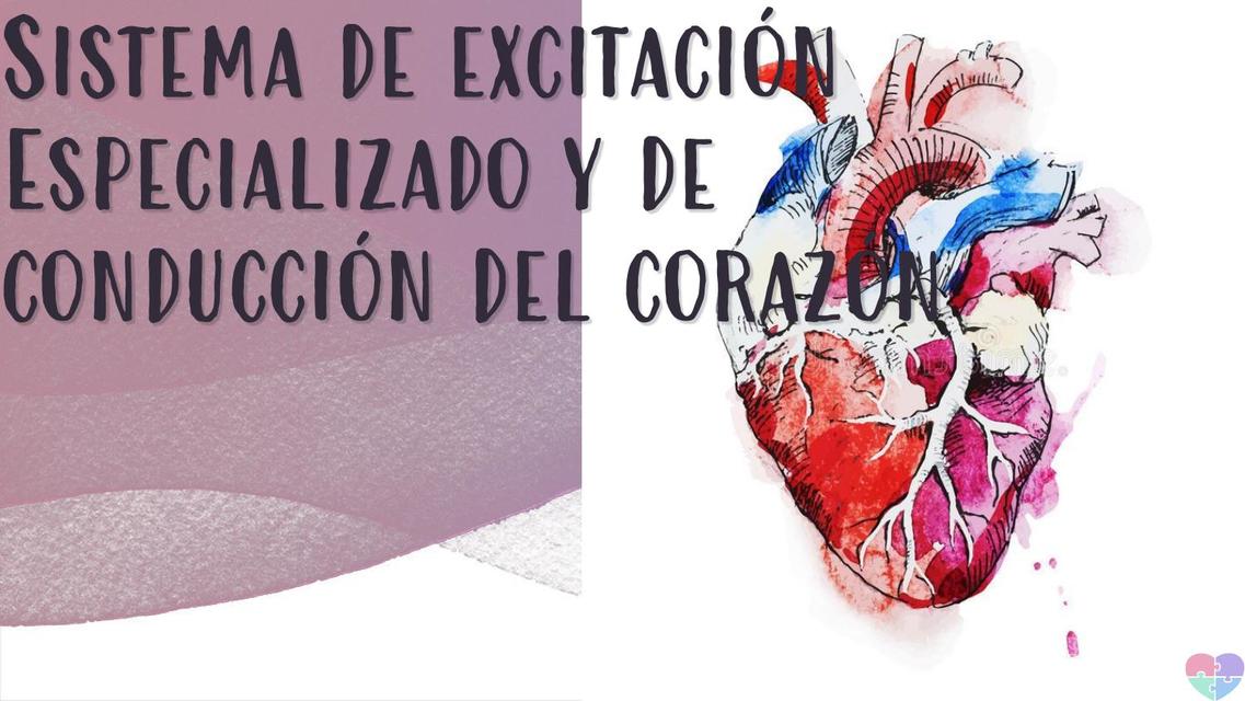 Sistema de Excitación Especializado y de Conducción del Corazón