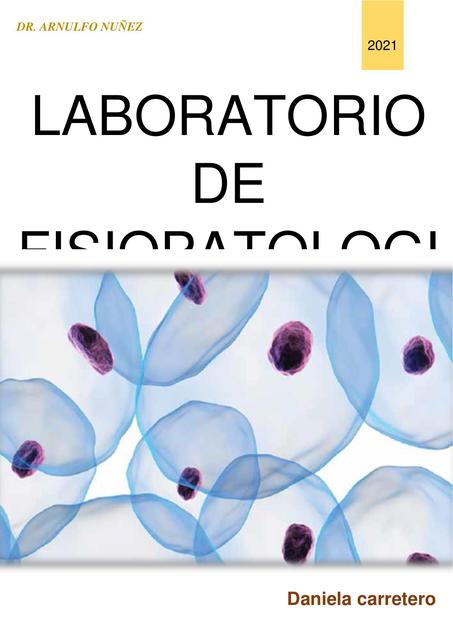 Fisiopatológica de la anemia resumen