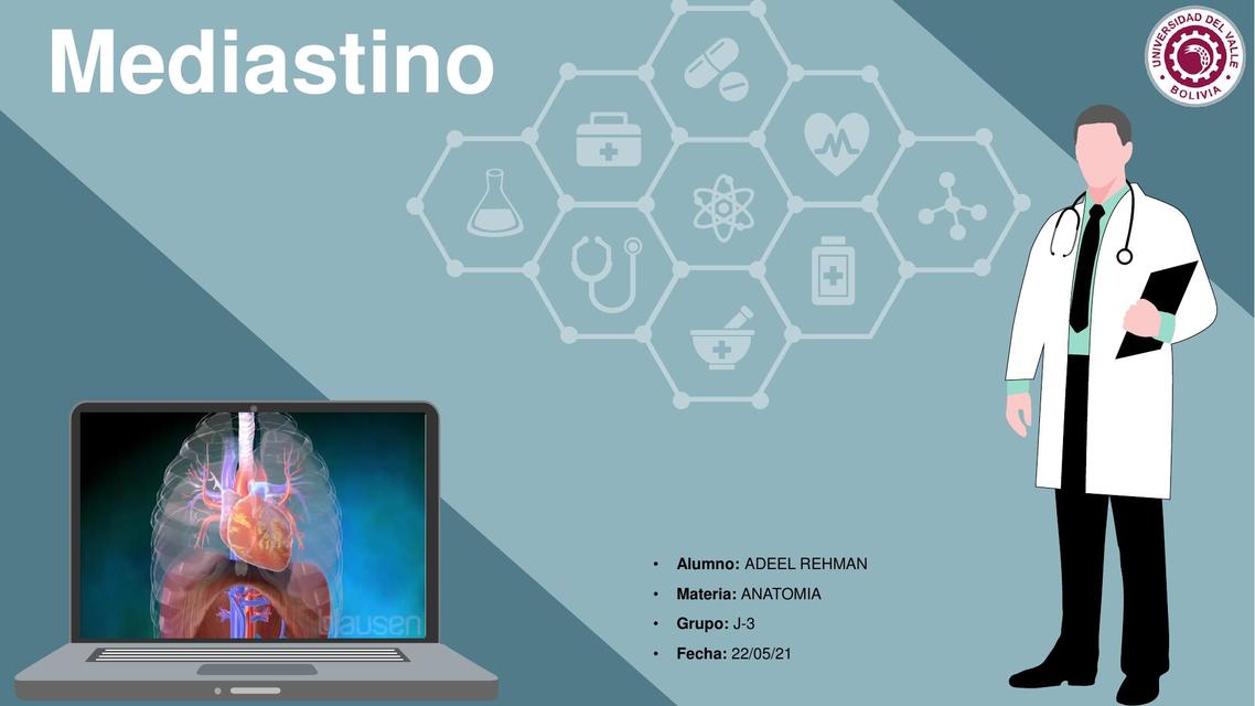 Mediastino