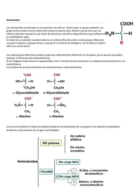 Aminoácidos 