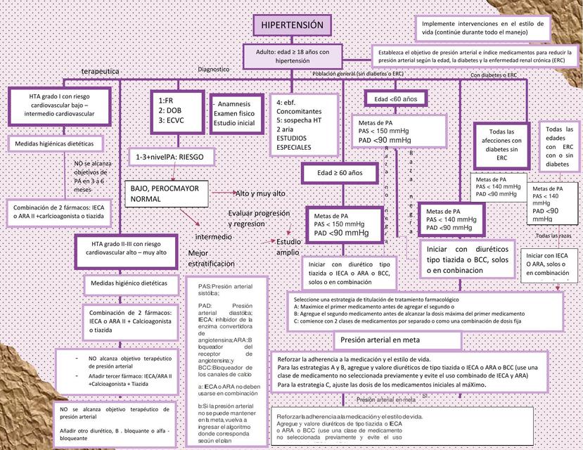 Hipertensión Arterial | uDocz