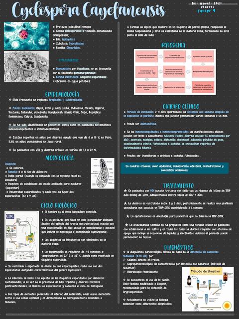 Cyclospora Cayetanensis Fernanda Macías Torres uDocz