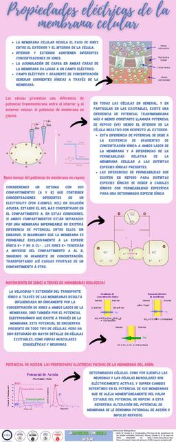 Propiedades Eléctricas de la Membrana Celular