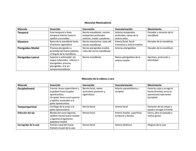 Músculos Masticadores