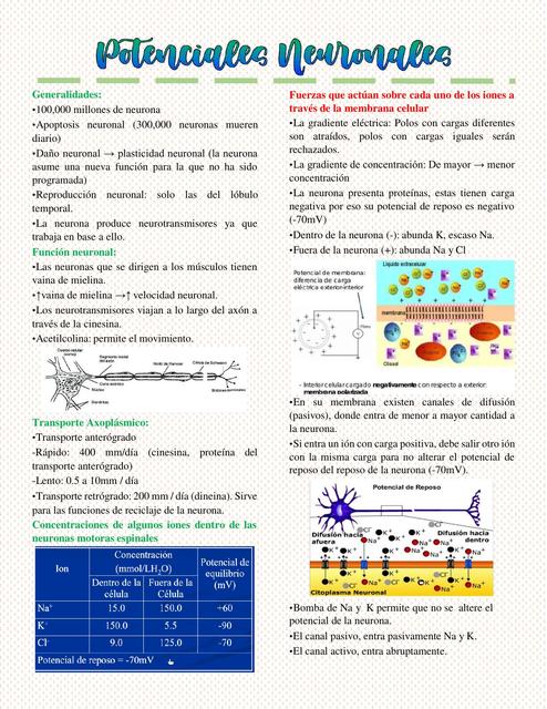 Potenciales neuronales