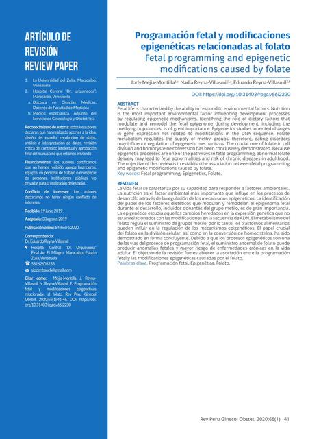 Programación fetal y modificaciones epigenéticas relacionadas al folato