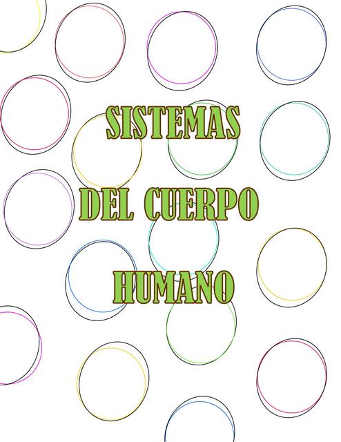 Sistemas del Cuerpo Humano