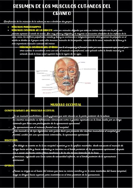 Resumen de los Músculos Cutáneos: Cráneo 