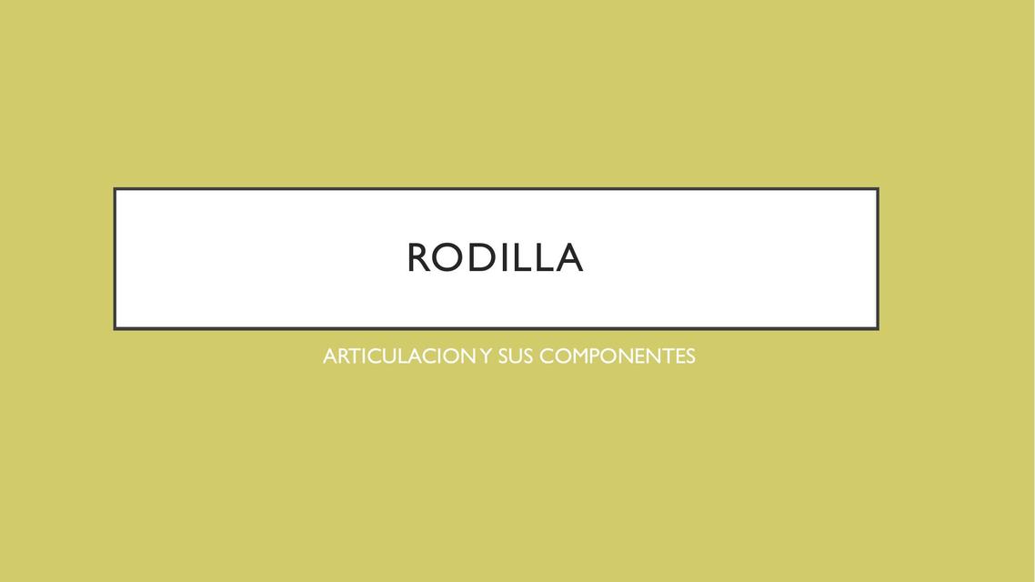 Rodilla 