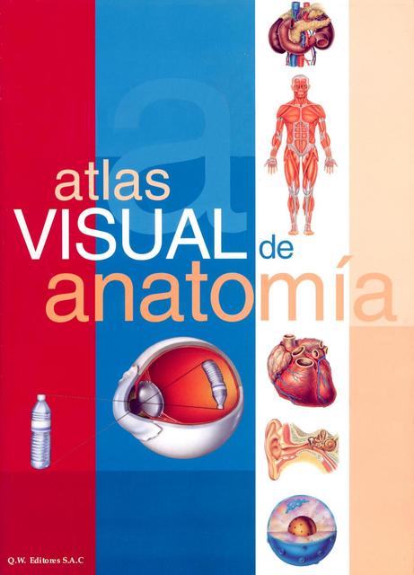 Atlas Visual de Anatomia