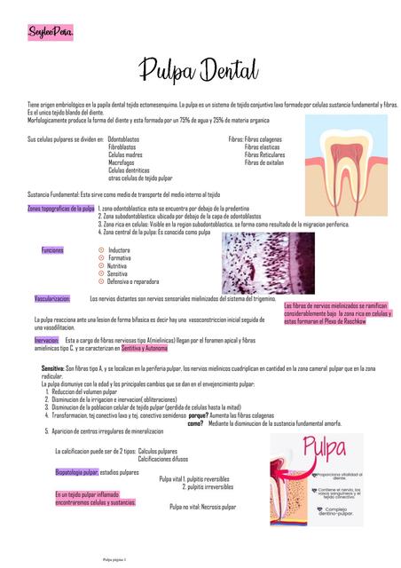 Pulpa Dental