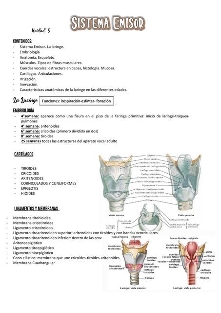 Sistema Emisor 