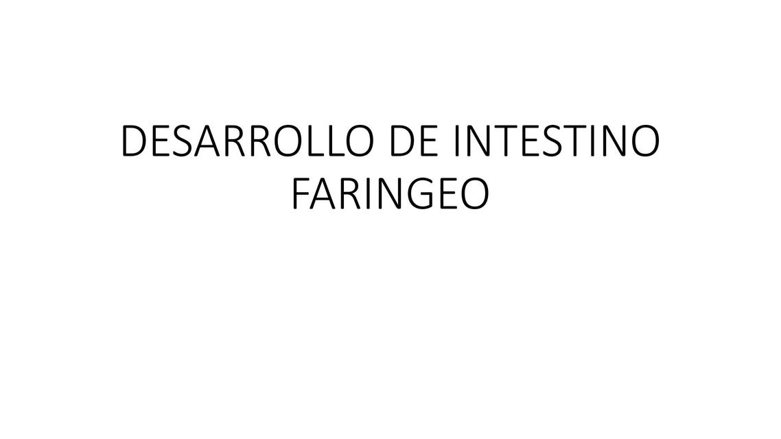 Desarrollo de Intestino Faringeo 