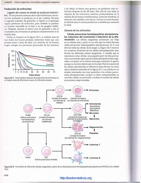 Producción de Eritrocitos 