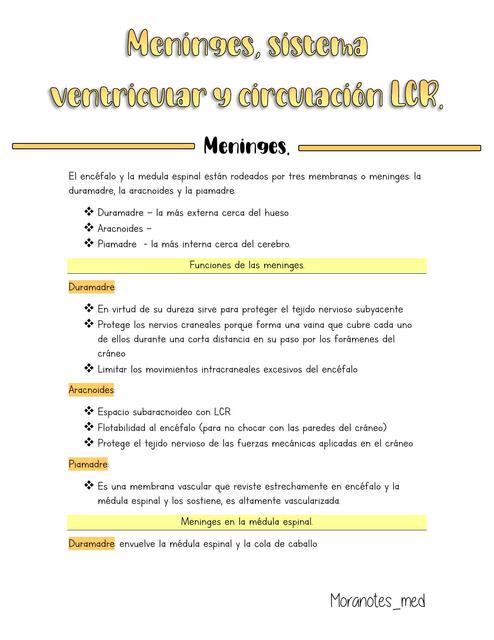 Meninges Liquido céfalo raquídeo y ventrículos