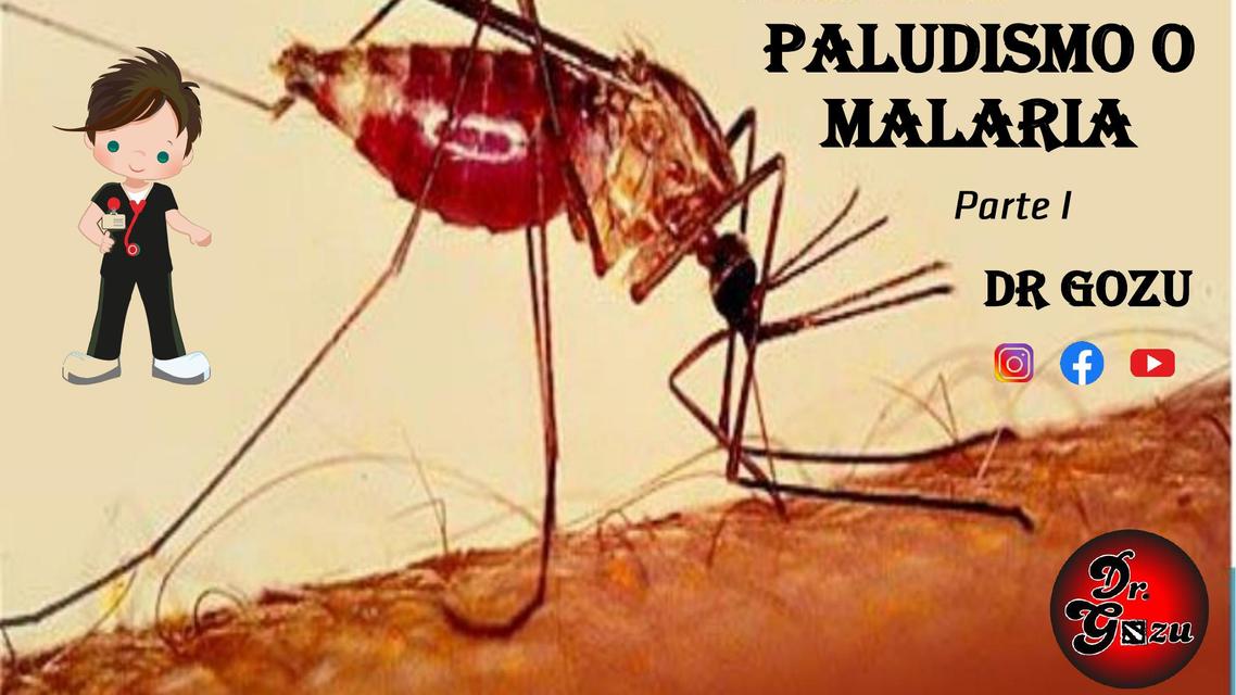 Paludismo o Malaria 