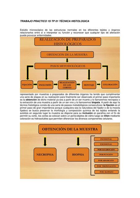 Técnicas histológicas