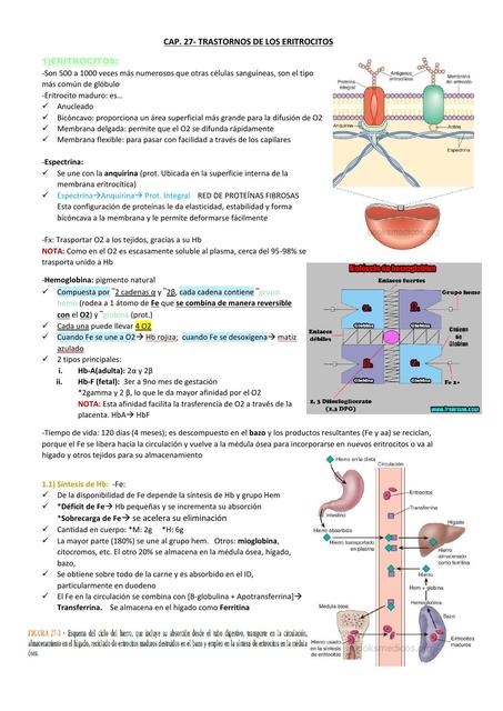 Trastornos de los Eritrocitos 