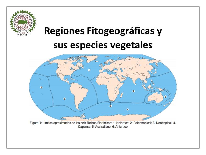 Regiones Fitogeográficas y sus Especies Vegetales