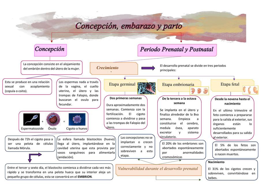 Concepción, Embarazo y Parto 
