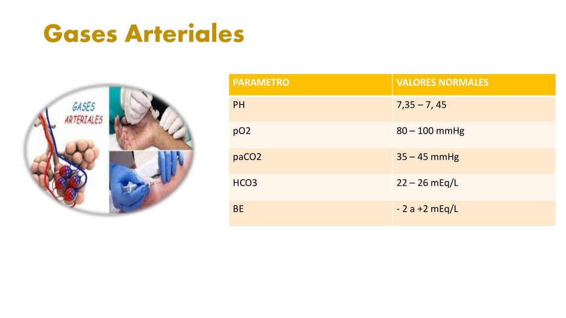 Gases Arteriales